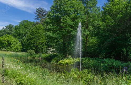 Beautiful park with pond and fountain