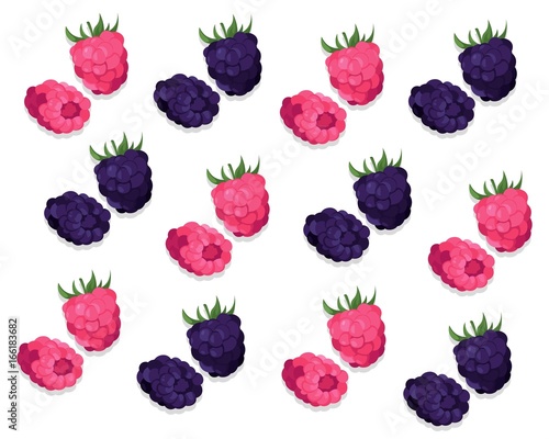 Raspberry and blackberry pattern background Vector illustration