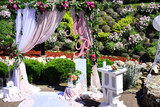 wedding ceremony decoration sunny summer outdoor