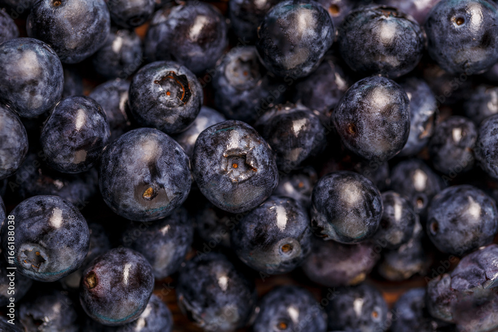 Freshly picked blueberries Freshly picked blueberries
