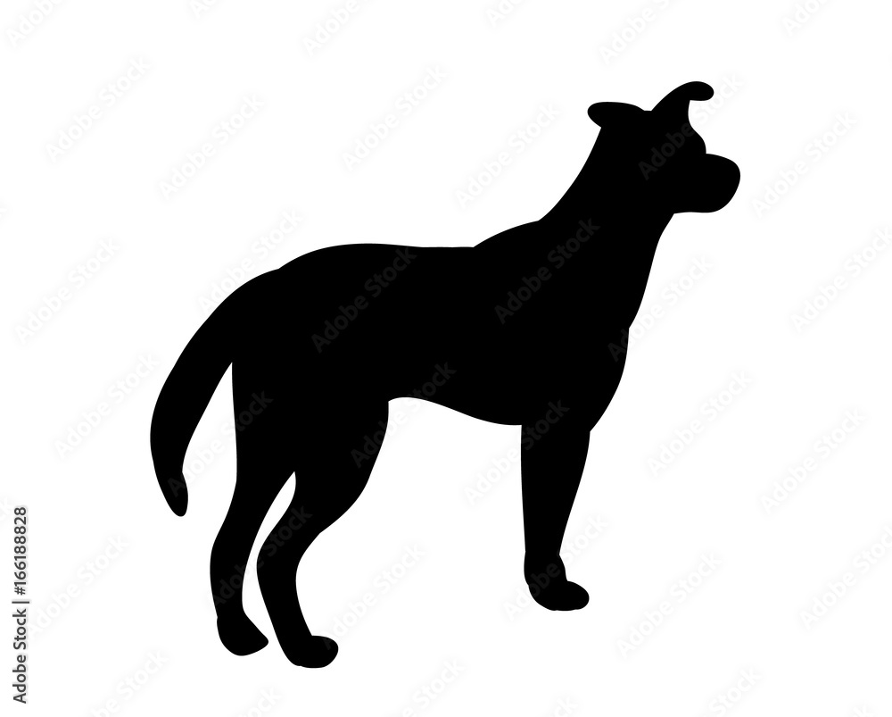Silhouette of a dog