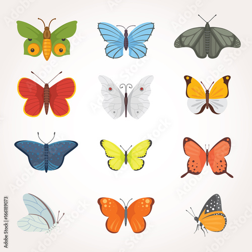 Printset of colorful Butterfly Vector Design Illustration. summer insect © denis08131