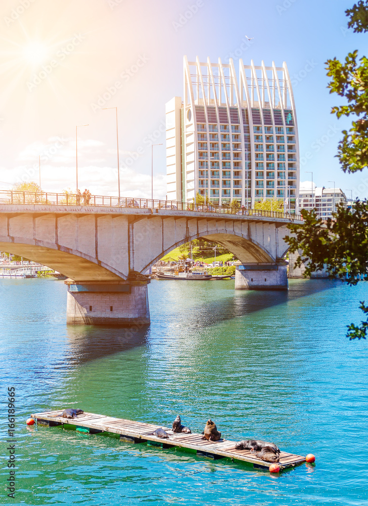 Fototapeta premium Pedro de Valdivia Bridge