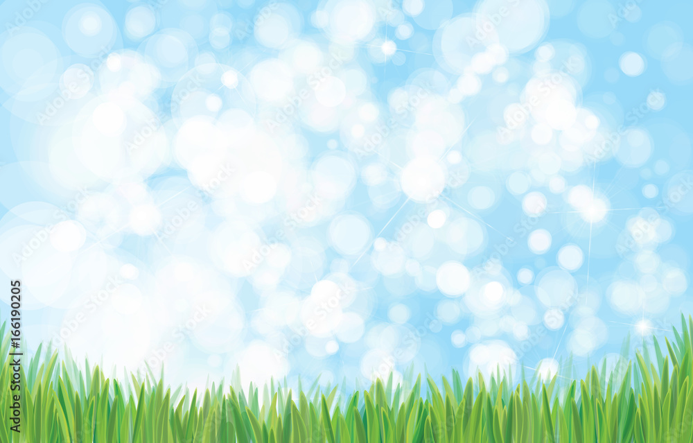 Vector green grass  border and sky background.