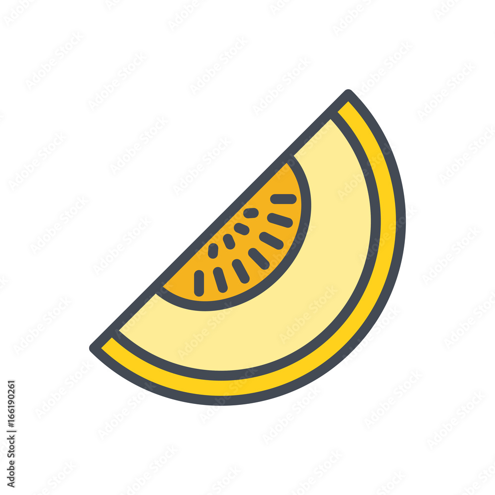 Fruits food melon colored icon