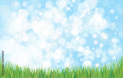 Vector green grass border and sky background.