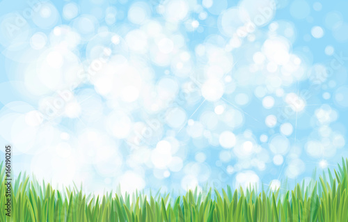 Vector green grass  border and sky background.