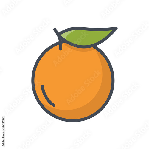Fruits orange slice colored icon