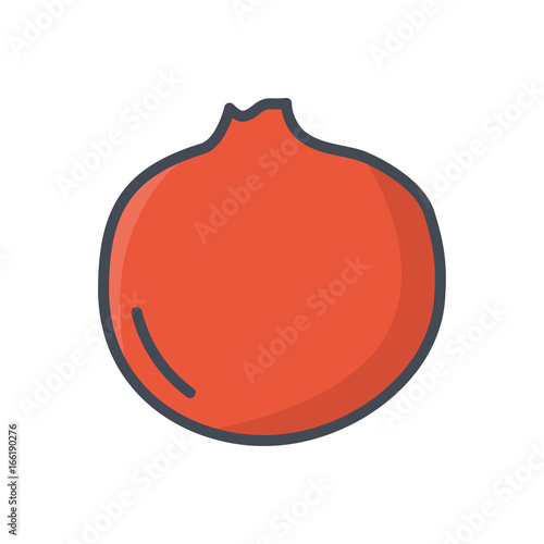 Fruits food pomegranate colored icon