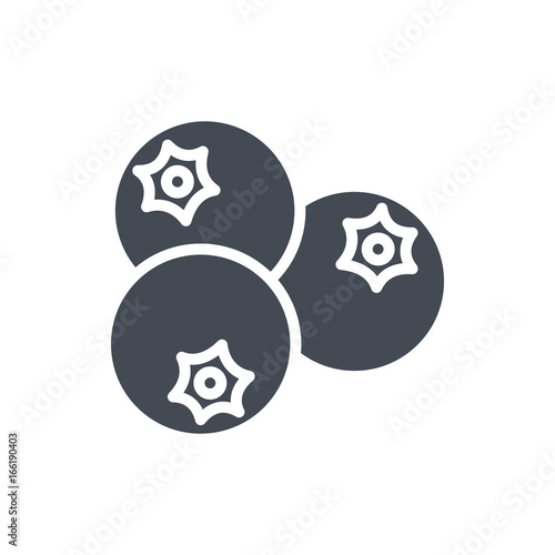 Fruits food blueberry silhouette icon