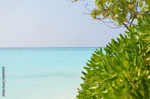 Maldives © JULIEN