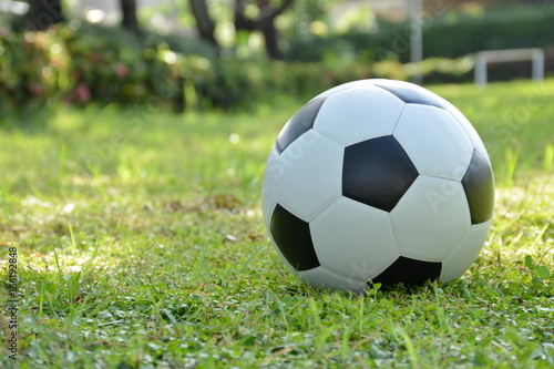 Football or soccer ball on the lawn with sunlight in morning day,outdoor activities. © LittleGallery