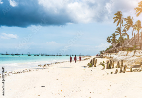 picturesque landscape with ocean beach and african village and palms