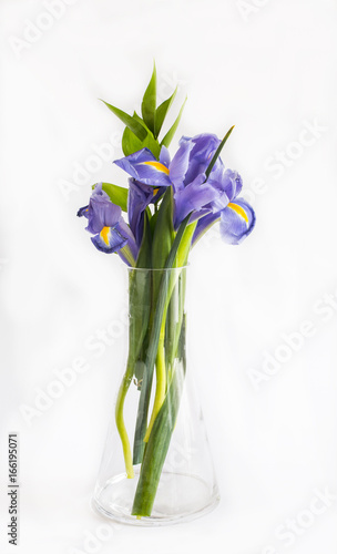 Fototapeta Naklejka Na Ścianę i Meble -  Bouquet of violet lily flowers on white background.