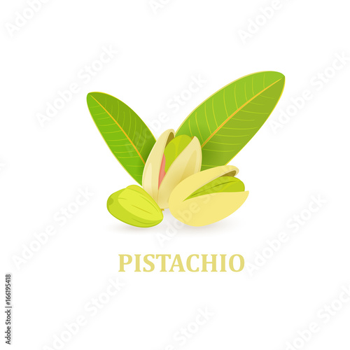 group of pistachios with green leaves for your design