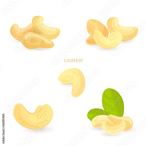 fresh collection of cashews for your design © Aloksa