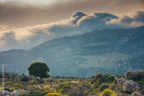 Beautiful mountain landscape near Kritsa Village, Katharo Plateau, Crete, Greece photo