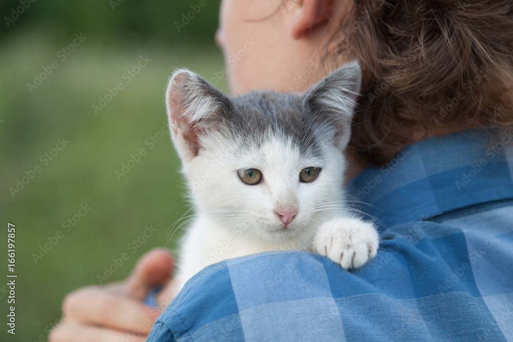 kitten on the shoulder of the boy outdoors kitten on the shoulder of the boy outdoors