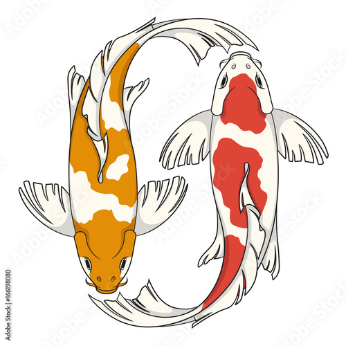 Colored vector illustration with koi carps. Isolated objects on white background.