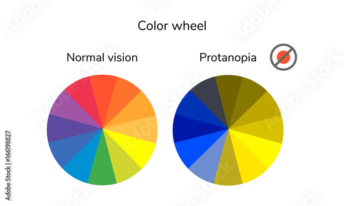 vector illustration, infographics, color wheel, palette, normal vision, protanopia, daltonism, color blindness photo