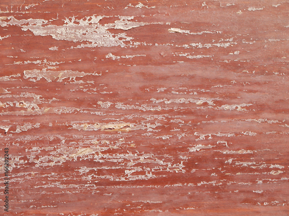 Texture of the old paint on wooden crack surface Texture of the old paint on wooden crack surface