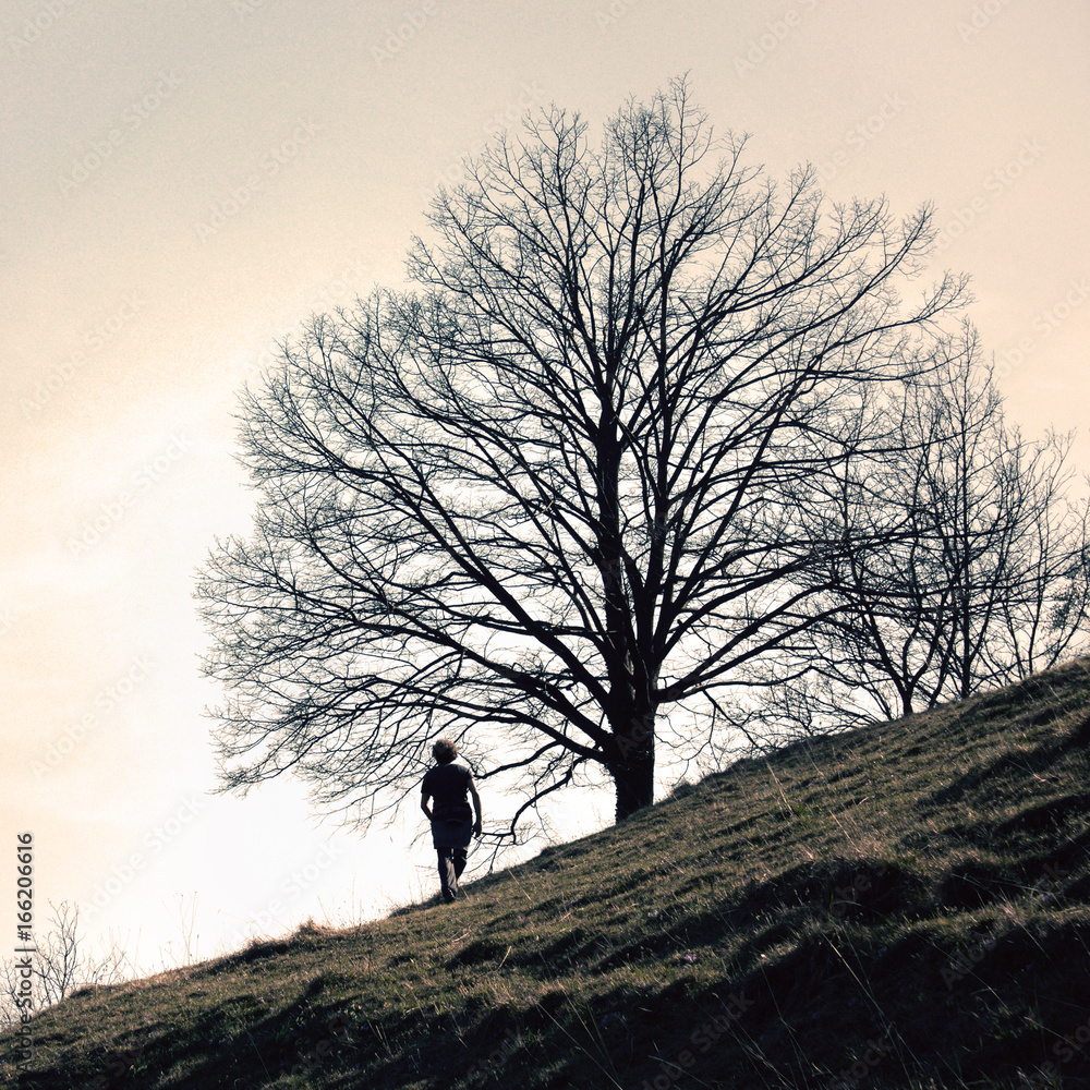 man on a hill, in the mountain with vintage effect.
