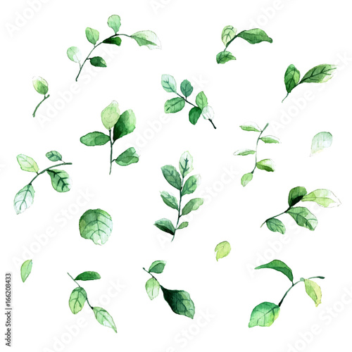 Set of watercolor green leaves in vector. Perfect floral elements for save the date card, wedding invitation and greeting cards.