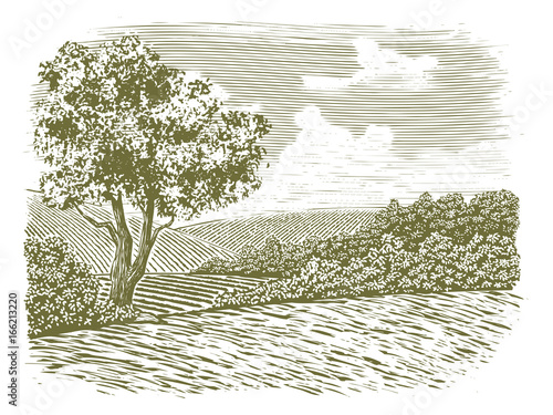 Woodcut Countryside Scene