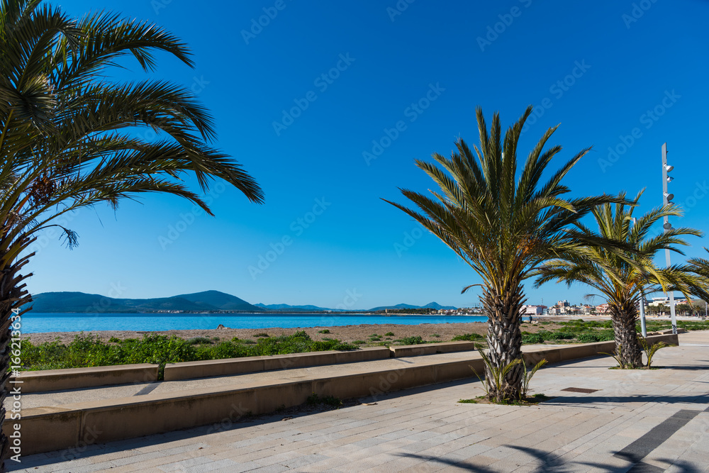 Palm trees in Alghero seafront