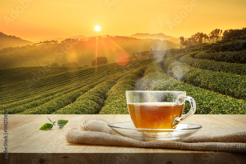 Foto Cup of hot tea and tea leaf on the wooden table and the tea plantations backgrou