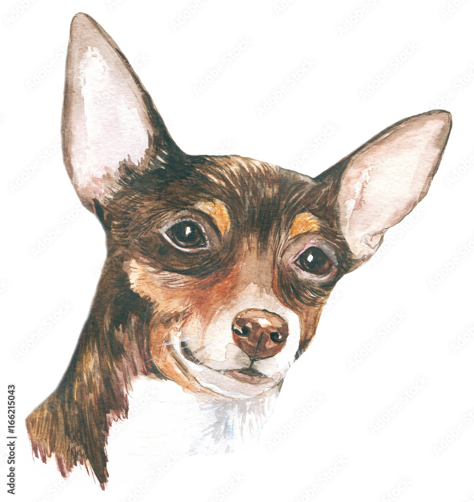 the dog is brown/Watercolor close-up portrait of dog isolated on a white background. Funny dog head. Hand drawn cute pet. A popular toy. Greeting card design clip art illustration