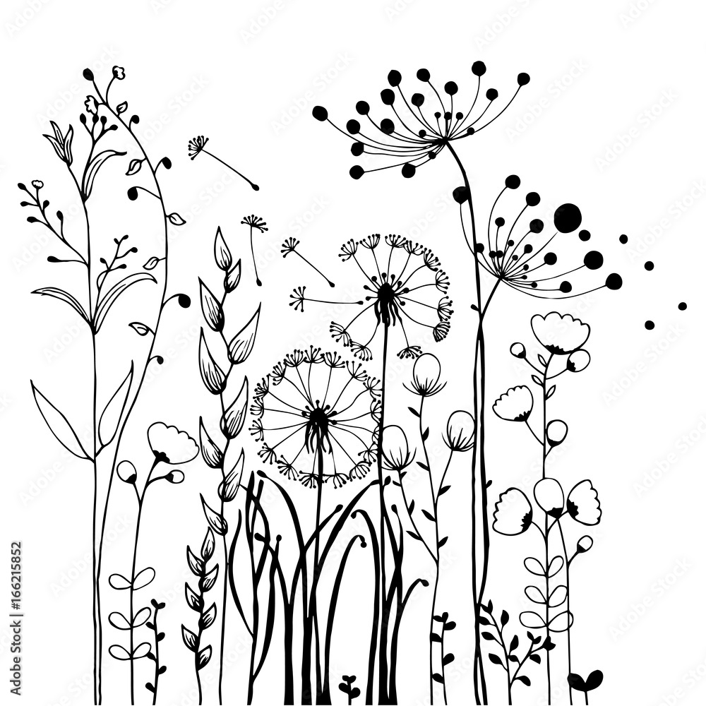 Naklejka Kwiaty i trawa na białej kolekcji. Zestaw ilustracji rustykalne kolorowe łąki wzrostu.