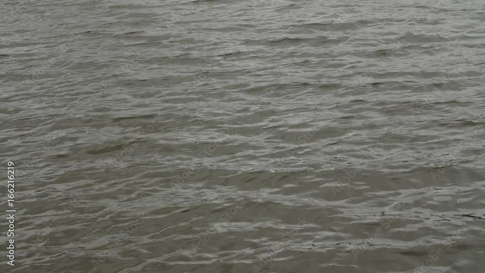 Lake water wavy surface, water greenish tint opaque Lake water wavy surface, water greenish tint opaque