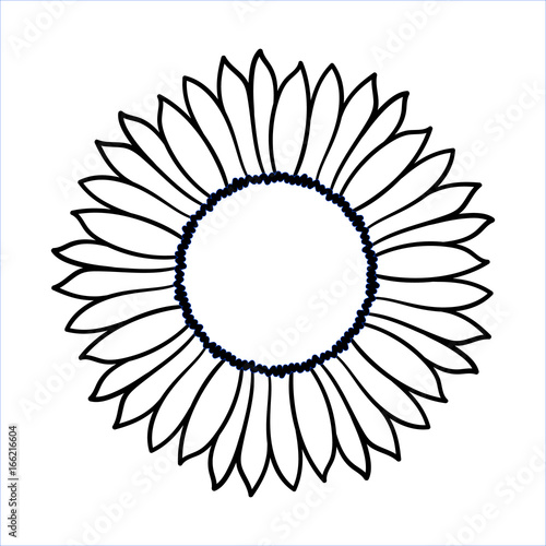 Fototapeta Naklejka Na Ścianę i Meble -  Vector doodle sunflower illustration. Simple hand drawn icon of flower with yellow petals isolated on white background. Line cartoon style.