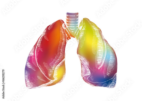Art design of human lungs