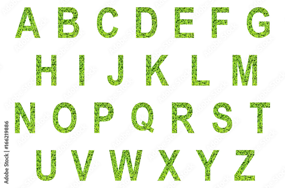 English alphabet of made from green grass on white background for isolated with clipping path, Capital letter and small letter  from green grass on white background for isolated