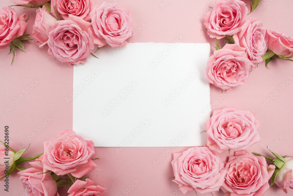 Pink roses on pink background with space for text. Flat lay, top view