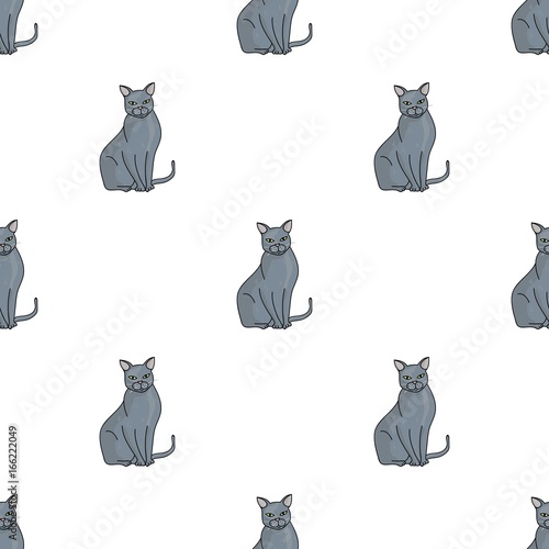 Chartreux icon in cartoon style isolated on white background. Cat breeds symbol stock vector illustration.