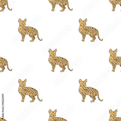 Savannah icon in cartoon style isolated on white background. Cat breeds symbol stock vector illustration.