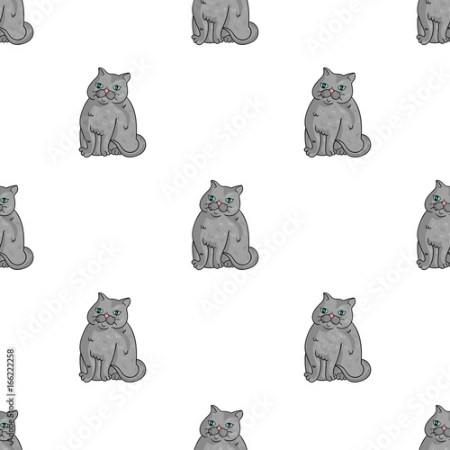 Exotic Shorthair icon in cartoon style isolated on white background. Cat breeds symbol stock vector illustration.