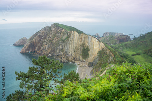 Amazing landscape with ocean, cliffs, beach, greens and flowers in summer day; wallpaper of the Bay of Biscay