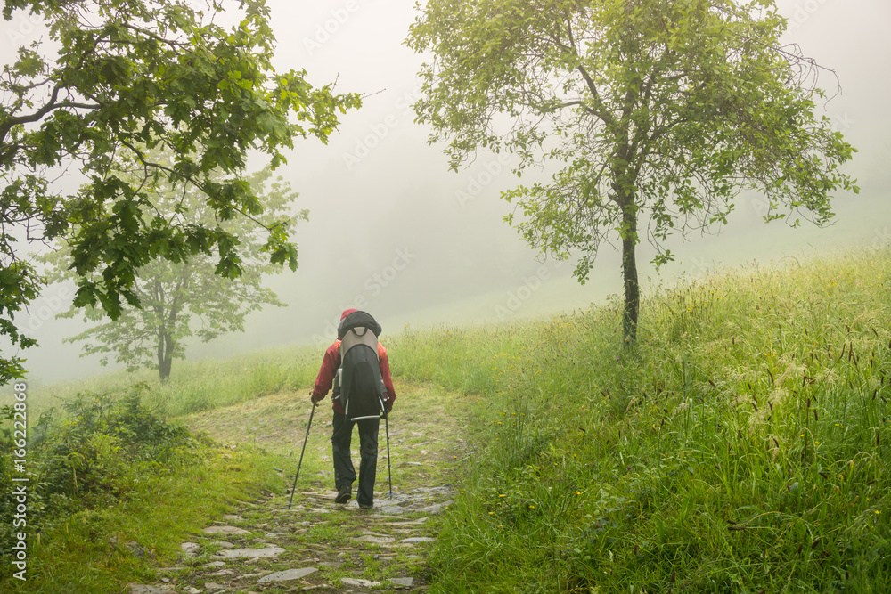 Family trip to nature: father with a baby in a backpack walking on the trail in summer rainy and foggy day