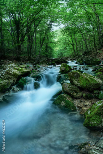 Beautiful wild nature. Mountain river and green impenetrable forest. Green moss on the rocks © esbuka