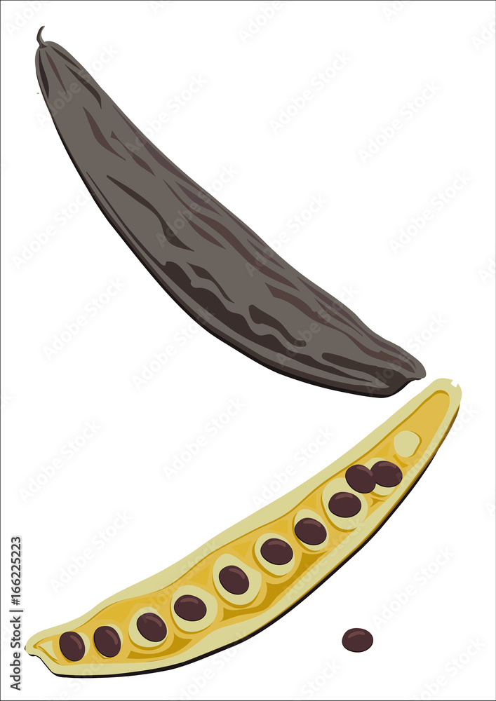 Pods and carob seeds Pods and carob seeds