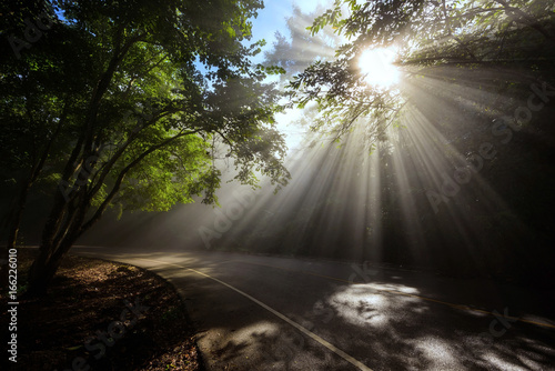 Landscape of rays trough scenic road