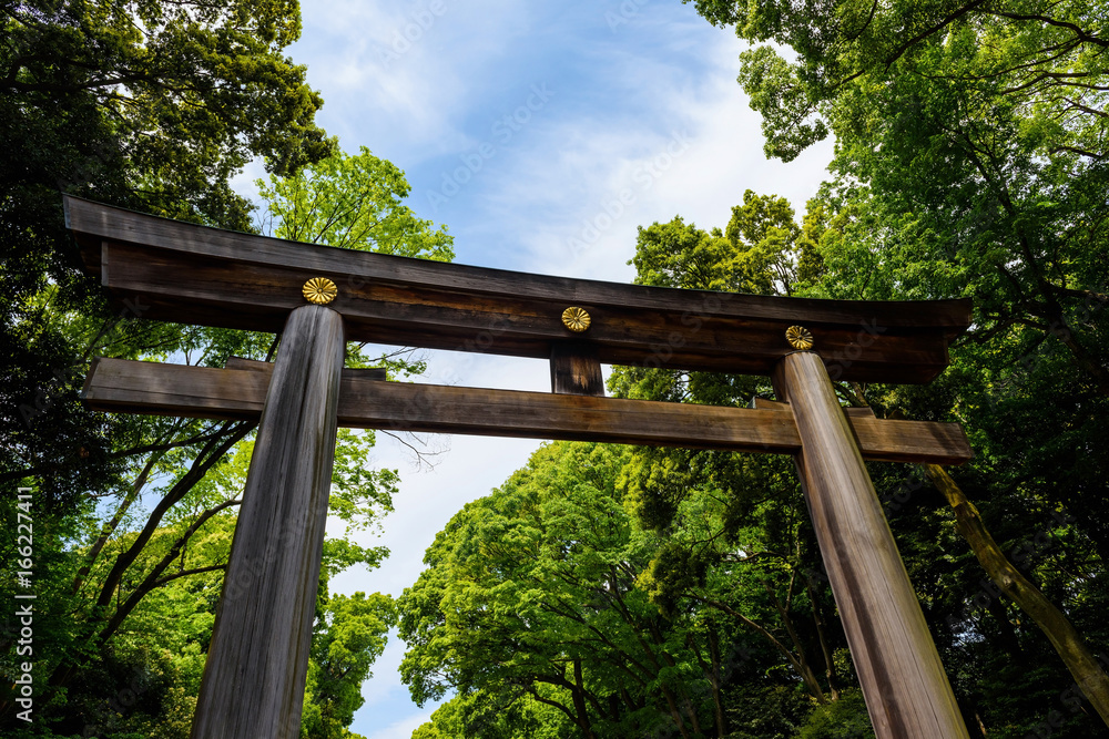 Torii Gate of Meiji Shrine, Tokyo