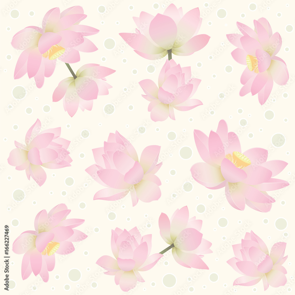 Seamless pattern with delicate lotus flowers