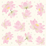 Seamless pattern with delicate lotus flowers