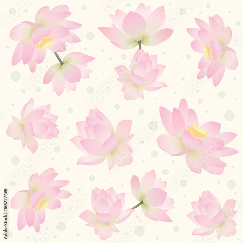 Seamless pattern with delicate lotus flowers