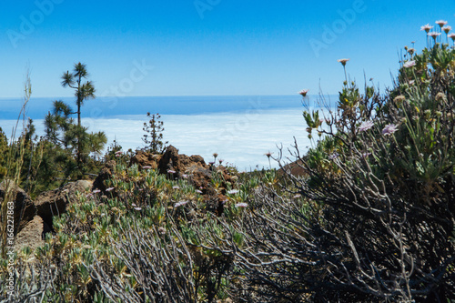 Nationalpark El Teide, Teneriffa, 2017